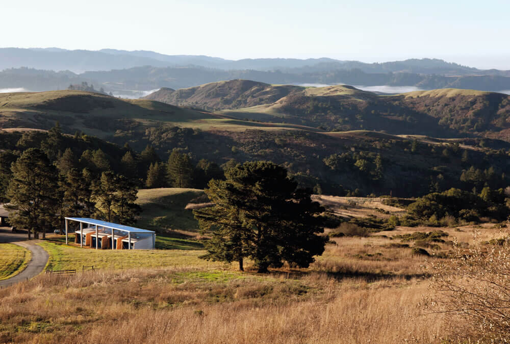 CAMP DJERASSI