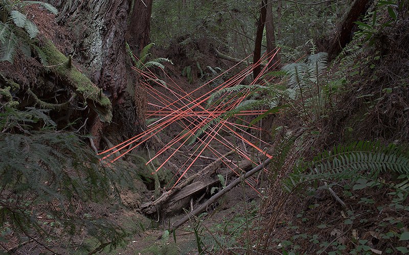 Profile picture of Scott Polach