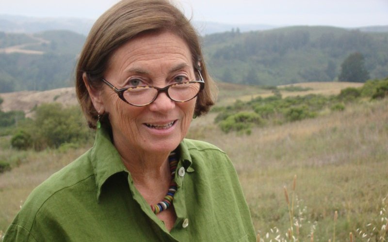 Profile picture of Dolores Hayden